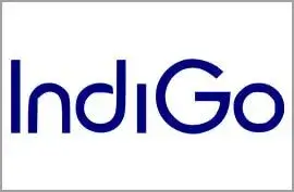 indigo-airline.jpg